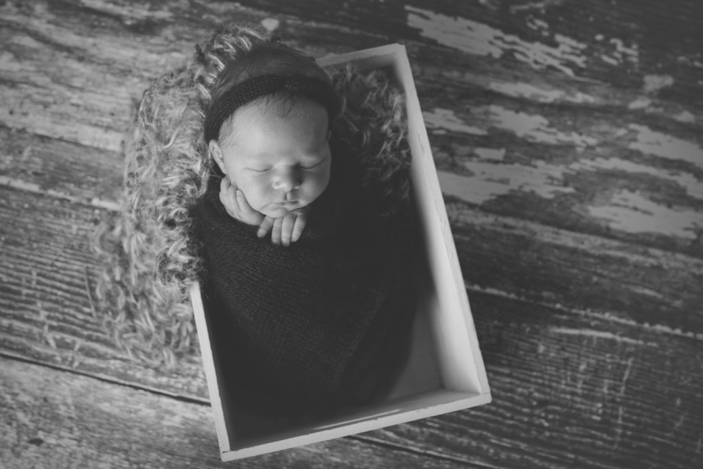 baby girl posed for Arvada newborn portraits