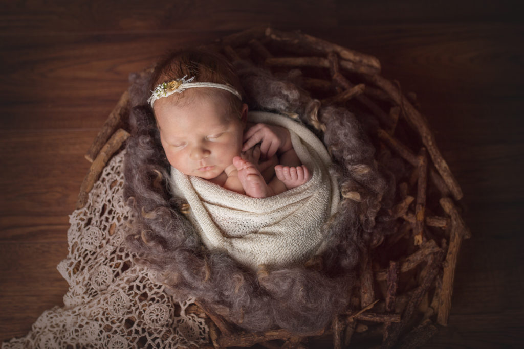 Newborn baby posed in Arvada photo studio