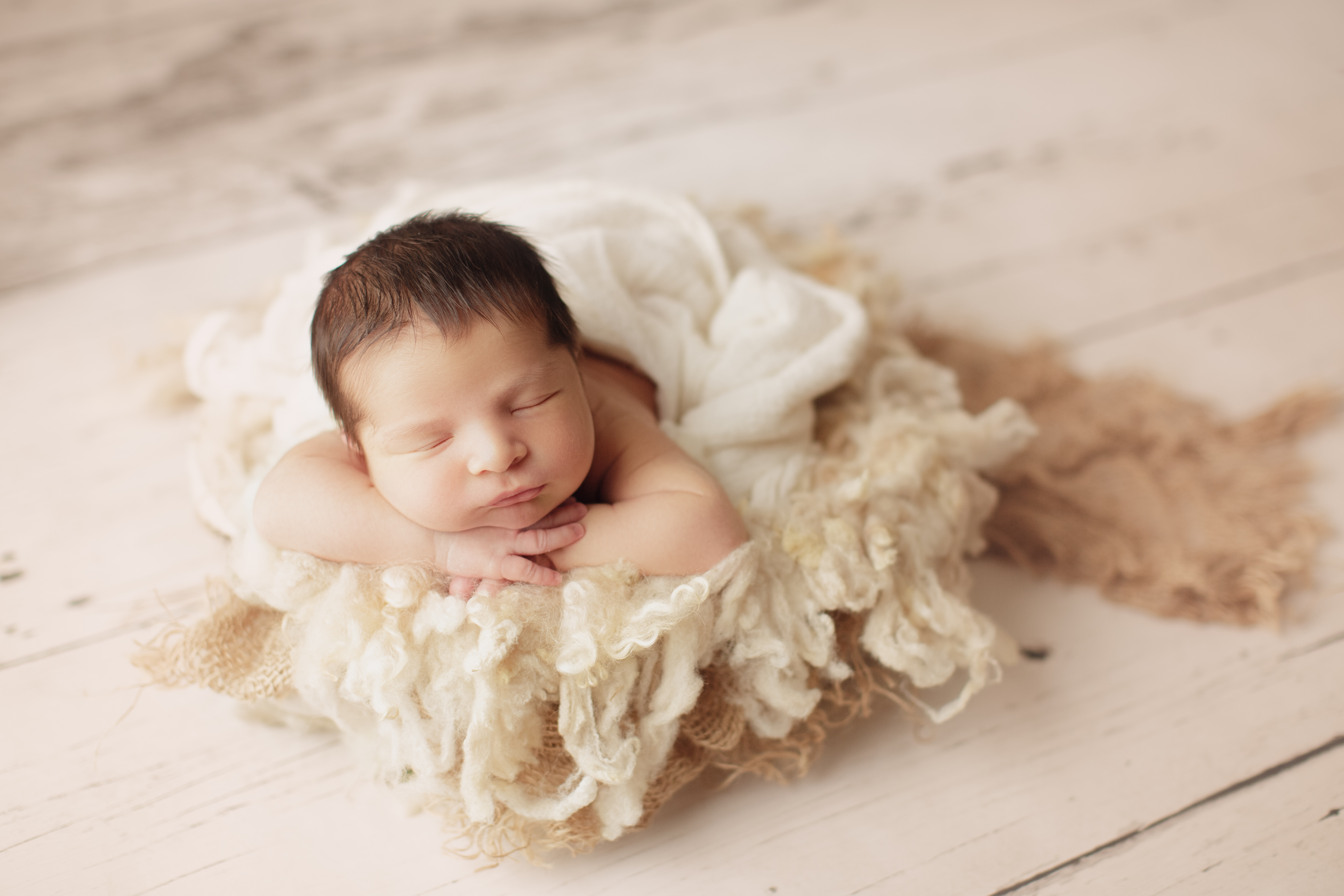 Lakewood, Colorado custom newborn photography